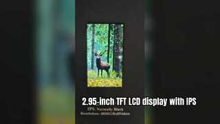 2.95-inch TFT LCD display with IPS normally black technology
