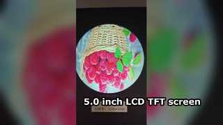 5.0 inch LCD TFT screen, 5 inch TFT LCD panel, high brightness LCD TFT display, 