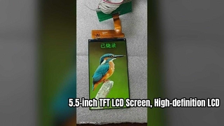5.5-inch TFT LCD Screen, High-definition LCD Display,