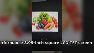 High-performance 3.95-inch square LCD TFT screen with IPS technology