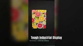 Industrial TFT display, 2.4 inch industrial LCD